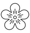 kelsey-iconsArtboard_2_copy.png